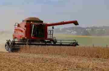 Chuvas do início de novembro provocam adaptações na agricultura paranaense